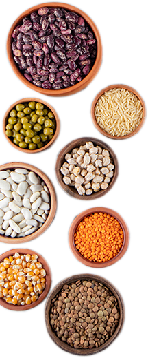 seeds-soc-semences